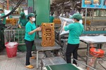 Ghi tên nghề, công việc nặng nhọc, độc hại thế nào là đúng?