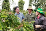 Bình Điền: Hành trình hơn nửa thế kỷ phụng sự nông dân và tầm nhìn tiên phong xanh hóa - số hóa