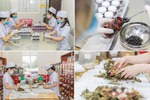 Dự kiến 13 nhiệm vụ của Bệnh viện Y học cổ truyền