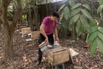 Khẳng định thương hiệu nông sản sạch từ sản phẩm OCOP