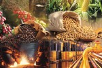 THỊ TRƯỜNG HÀNG HÓA: Rung lắc sau quyết định của Fed