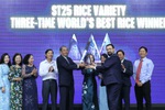 ST25 – Hạt gạo Việt Nam 3 lần chinh phục 'ngôi vương' thế giới