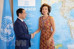 Viet Nam is a successful example in linking economic development and culture: UNESCO Director-General
