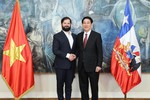 Full Viet Nam-Chile Joint Statement