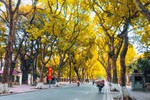 Ha Noi named among the world’s 20 happiest cities: Time Out