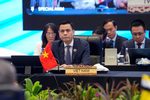 Viet Nam welcomes ceasefire proposals between Cambodia, Thailand