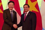 Two viral videos of Singapore Prime Minister’s Viet Nam visit attract millions of views