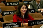 Viet Nam elected to UNESCO culture diversity committee for third time