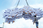 Viet Nam may export 8.8 million tons of rice in 2025