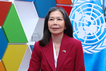 Viet Nam evolves from beneficiary to contributor in global cooperation: UN Resident Coordinator