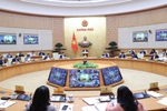 2023年6月份政府定期会议决议