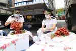 通过老街口岸输出到中国的越南荔枝金额逾3200万美元