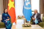 越南支持联合国在国际事务中发挥核心作用