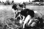 Nhớ anh “bám đội, lội đồng”