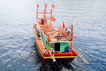 Ngư dân vươn khơi, mong một mùa Tết ấm