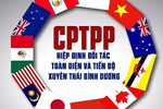 Hiệp định CPTPP có hiệu lực với thành viên khi nào?