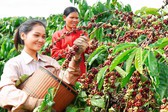 Thủ tướng chỉ đạo về ph&#225;t triển ng&#224;nh c&#224; ph&#234; v&#224; ng&#224;nh t&#244;m