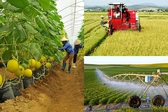 Tiếp tục đổi mới, ho&#224;n thiện cơ chế ch&#237;nh s&#225;ch th&#250;c đẩy ph&#225;t triển kinh tế tập thể, hợp t&#225;c x&#227;