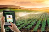 Đẩy mạnh chuyển đổi số trong khu vực kinh tế hợp t&#225;c, hợp t&#225;c x&#227;