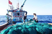 Kế hoạch h&#224;nh động th&#225;ng cao điểm chống khai th&#225;c hải sản bất hợp ph&#225;p