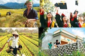 Quy chế hoạt động BCĐ Trung ương c&#225;c chương tr&#236;nh mục ti&#234;u quốc gia