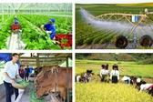 Kiện to&#224;n Ban Chỉ đạo Tổng điều tra n&#244;ng th&#244;n, n&#244;ng nghiệp năm 2025 trung ương