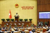 Quy chế hoạt động Hội đồng thẩm định độc lập xử l&#253; kh&#243; khăn, vướng mắc do quy định của ph&#225;p luật