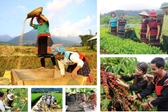Thực hiện c&#225;c chương tr&#236;nh mục ti&#234;u quốc gia đồng bộ với m&#244; h&#236;nh ch&#237;nh quyền địa phương hai cấp