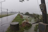 B&#227;o số 5 đổ bộ g&#226;y gi&#243; mạnh, mưa lớn, Thủ tướng chỉ đạo tập trung ứng ph&#243;, bảo đảm an to&#224;n t&#237;nh mạng Nh&#226;n d&#226;n