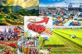 Chỉ đạo, điều hành của Chính phủ, Thủ tướng Chính phủ nổi bật tuần từ 6-12/9/2025