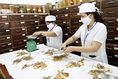 Ph&#225;t huy hơn nữa vị thế, vai tr&#242; của y học cổ truyền trong chăm s&#243;c sức khỏe nh&#226;n d&#226;n