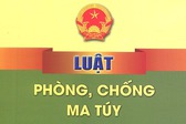Triển khai thi hành Luật Phòng, chống ma tuý