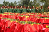 Phê duyệt thành viên BCĐ quốc gia về tìm kiếm, quy tập, xác định danh tính hài cốt liệt sĩ