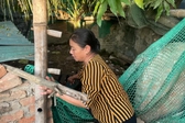 Kết thúc hoạt động và giải thể Quỹ Hỗ trợ Phụ nữ nghèo