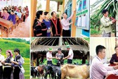 Quy chế hoạt động của BCĐ Trung ương Chương trình MTQG xây dựng nông thôn mới, giảm nghèo bền vững và phát triển KTXH vùng DTTS&amp;MN
