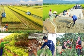 Đẩy nhanh tiến độ Chương trình MTQG xây dựng nông thôn mới, giảm nghèo bền vững và phát triển KTXH vùng DTTS&amp;MN