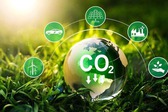 Nguyên tắc cung ứng và sử dụng dịch vụ hấp thụ và lưu giữ carbon của rừng
