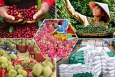 Tiêu chí đánh giá, phân hạng sản phẩm OCOP