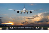 Những trường hợp nào bị cấm bay?