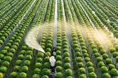 Xây dựng dự án sửa đổi 10 luật về thủ tục hành chính lĩnh vực nông nghiệp, môi trường theo thủ tục rút gọn