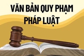 Xử lý triệt để tình trạng chậm ban hành văn bản quy định chi tiết luật, pháp lệnh, nghị quyết