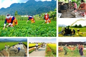 Giao kế hoạch đầu tư công vốn ngân sách trung ương cho các bộ, địa phương thực hiện Chương trình MTQG