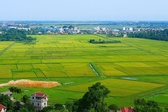 Kế hoạch triển khai cơ chế, chính sách đặc thù để xử lý vi phạm pháp luật về đất đai trước năm 2024