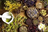 Phát huy vai trò của y học cổ truyền trong chăm sóc, nâng cao sức khỏe Nhân dân