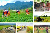 Chương trình công tác của BCĐ Trung ương thực hiện các Chương trình mục tiêu quốc gia