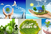 Tổ chức và hoạt động của Hội đồng quốc gia về phát triển bền vững