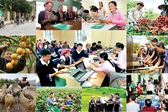 Giải thể BCĐ Trung ương thực hiện Nghị quyết số 70/NQ-CP về chính sách xã hội