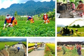 Chương trình mục tiêu quốc gia phải bảo đảm chính sách đúng địa bàn, đúng đối tượng và đáp ứng nhu cầu cấp thiết