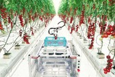 Điều kiện thành lập khu nông nghiệp ứng dụng công nghệ cao