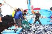 Kế hoạch khắc phục khuyến nghị của EC về chống khai thác IUU